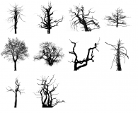 Dead trees brushes