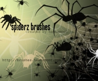 Spiders Brushes