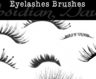 Eyelashes Brushes