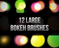 Large Bokeh Brushes