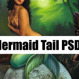 Mermaid Tail Stock