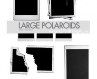 17 Large Polaroid Brushes