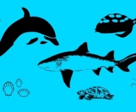 Fish shapes