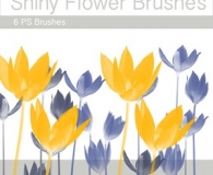 shiny flower brushes