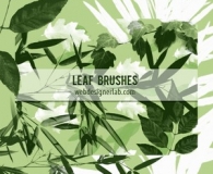 Free Leaf brushes