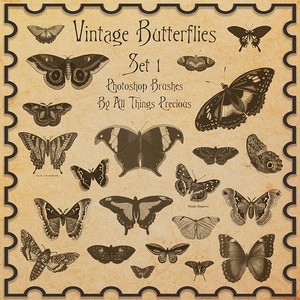 beautiful Butterflies pack 1