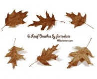 Realistic brushes of Leaves