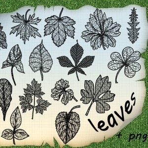 Trees' Leaves brushes