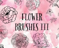 Charming Flower Brushes 3