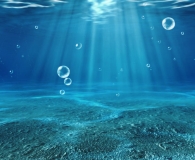 Underwater Brushes