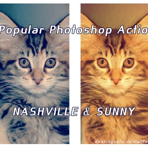 Nashville and Sunny Actions