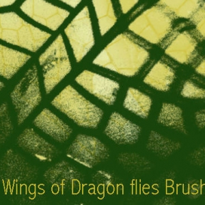 Dragon Fly Wing Brushes