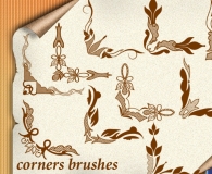 Corners Brushes