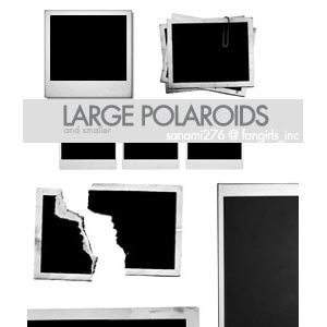 17 Large Polaroid Brushes
