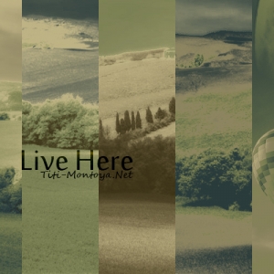 Live here