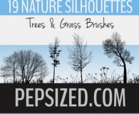 Nature Silhouettes Trees and grass brushes