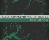 5 Floral Ornaments Vector brushes