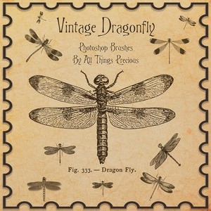 beautiful Dragonfly Brushes