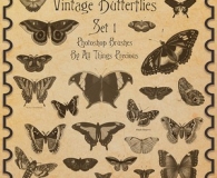beautiful Butterflies pack 1