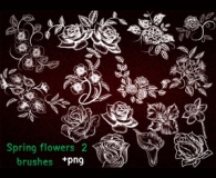Beautiful roses brushes