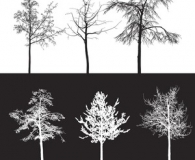 Diverses trees