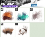 Dry Brushes for Photoshop
