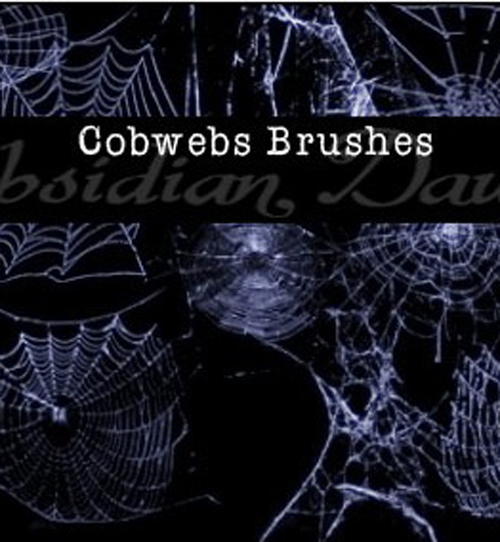 Cobwebs Photoshop Brushes