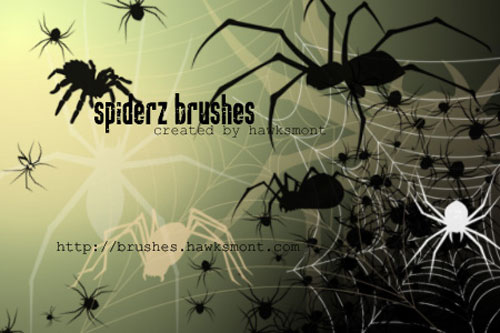 Spiders Brushes
