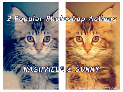 Nashville and Sunny Actions