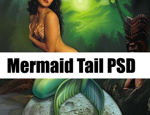Mermaid Tail Stock