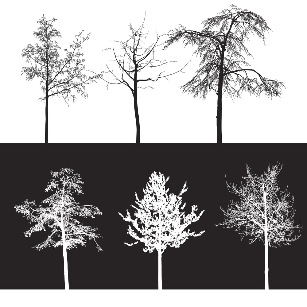 Set of 10 Trees Brushes