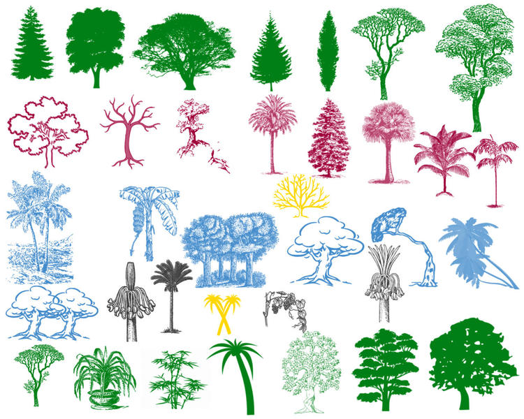 Tree silhouette brushes