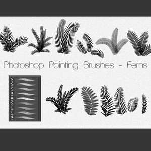 Plants Brushes