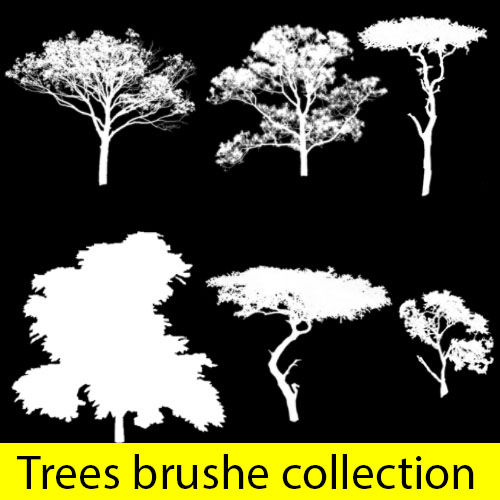 Set of Diverses Trees 