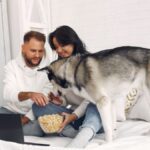 Wooflix: The Streaming Service Every Dog Lover Needs