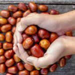 Žižole: A Flavorful Adventure Through History and Heritage