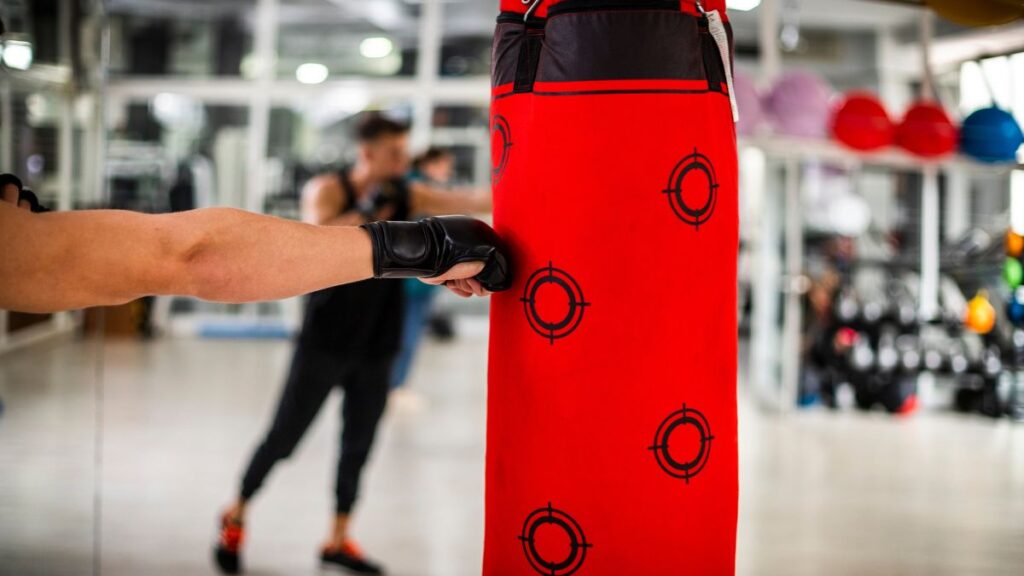 Boxing Bag