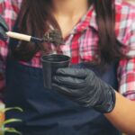 How to Grow and Care for Klemroot: Tips from Experienced Gardeners