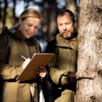 Success Stories from Viltnemnda: Effective Wildlife Management in Action